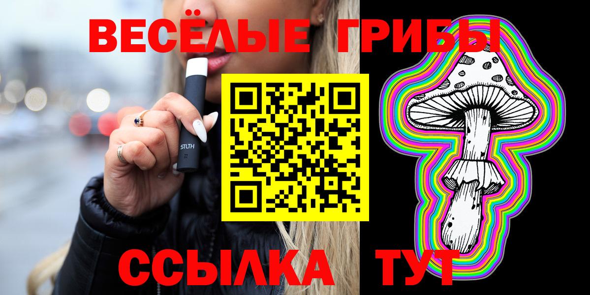 сколько стоит  Вход с VPN  Северодвинск  Псилоцибиновые грибы Psilocybe 